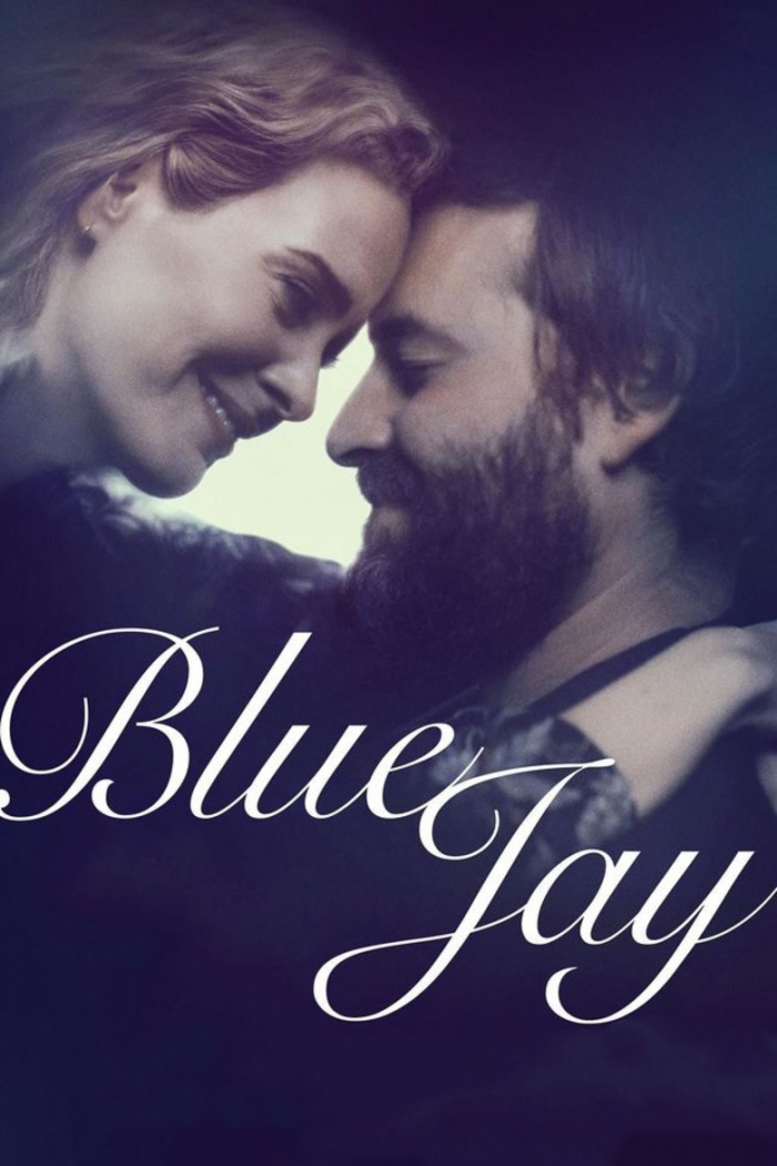 blue-jay-poster