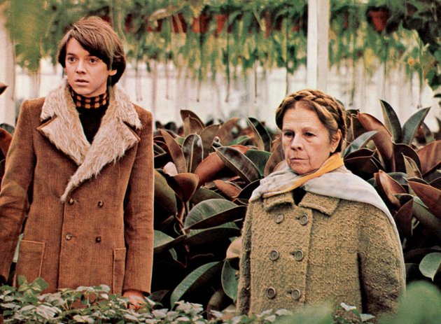 harold-maude-p